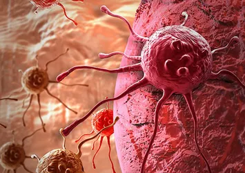 Bakandan kanser ilaçlarıyla ilgili açıklama
