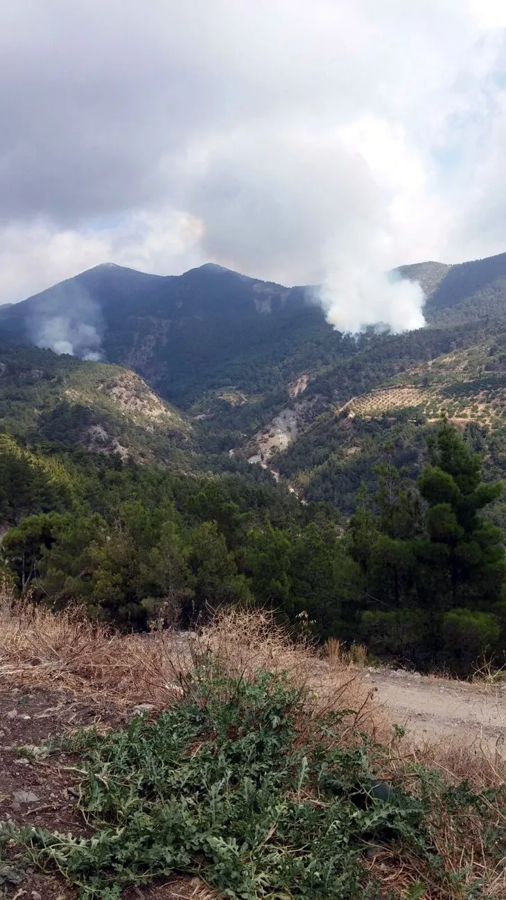 Amanoslar’da PKK’lı teröristler 7 hektar makilik alanı yaktı