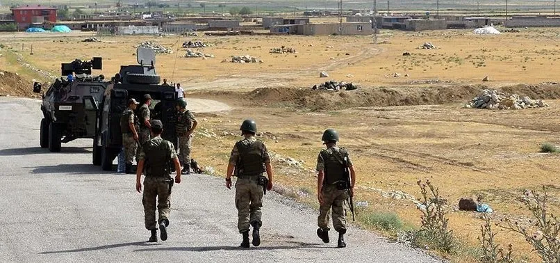 DİYARBAKIR'DA ÇOK SAYIDA PKK'LI ÖLDÜRÜLDÜ