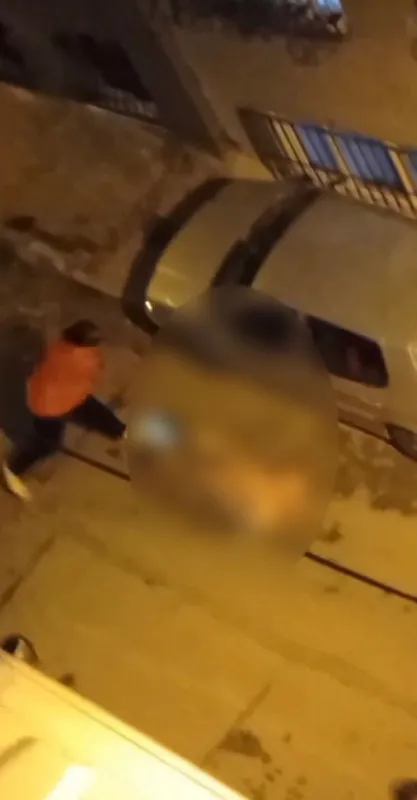 1671524758938.jpg Çileden çıkan anne sokağı savaş alanına çevirdi! Çırılçıplak soyup öldüresiye dövdü - 2