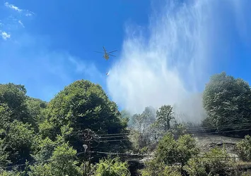Son dakika: Beykoz'da ormanlık alanda yangın!