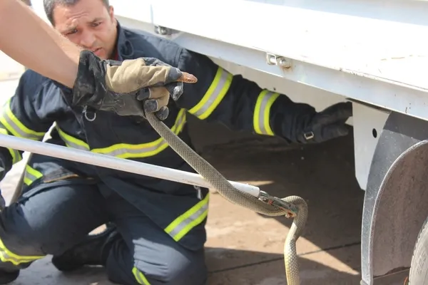 Seyir halindeki araca yılan girdi - 1