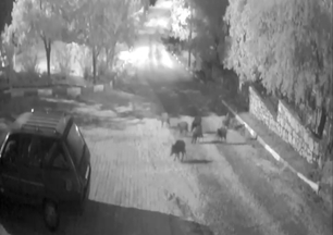 Tatil cennetinde şoke eden manzara! Mahalle muhtarı: Gözlerime inanamadım