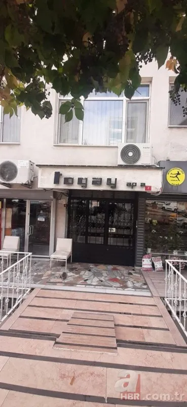 Ünlü sanatçı Bilge Ersel’e büyük şok! Dolandırıcılar Beşiktaş’taki evini sattırıp 1 milyon dolarını aldılar