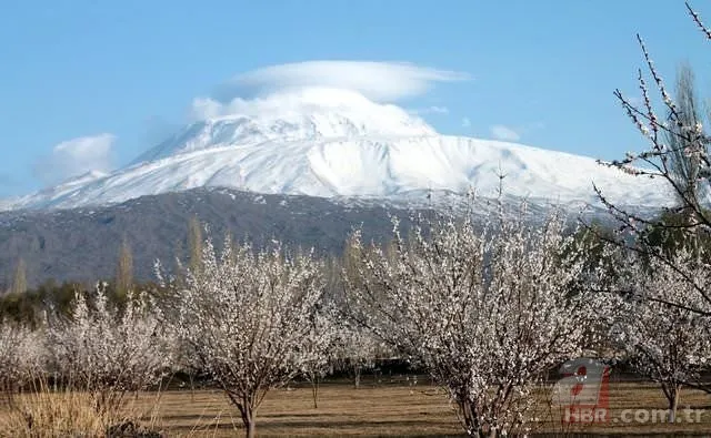 Şehirlerin milletvekili sayısı değişiyor! İşte il il yeni sayılar 77