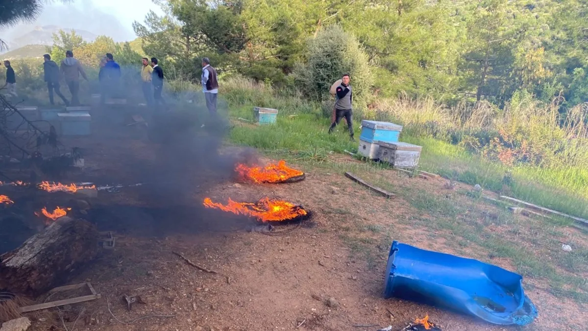 Datça'da çıkan orman yangını! Yangın büyümeden söndürüldü