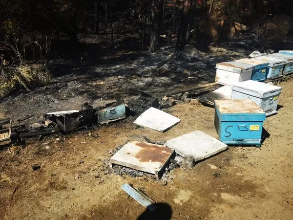 Son dakika: Ümit Özdağ'dan yeni provokasyon: Muğla’daki yangını sığınmacılar çıkardı | İşte gerçekler - 4