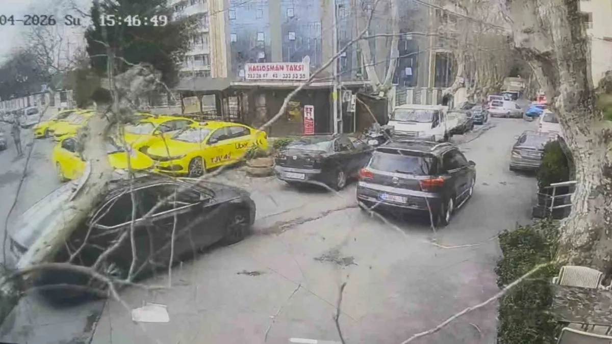 Sarıyer'de çınar ağacı otomobilin üzerine devrildi: O anlar kamerada