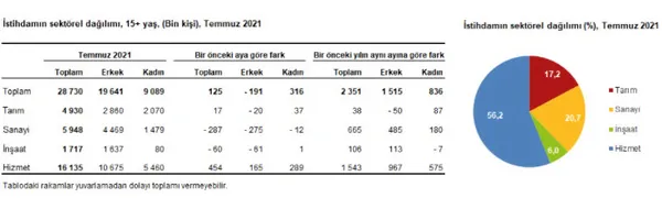 Son dakika: Türkiye'de temmuz ayı işsizlik rakamları açıklandı - 4