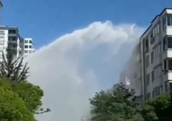 6 katlı binanın boyunu geçti! Korkuyla içeriye kaçtılar!
