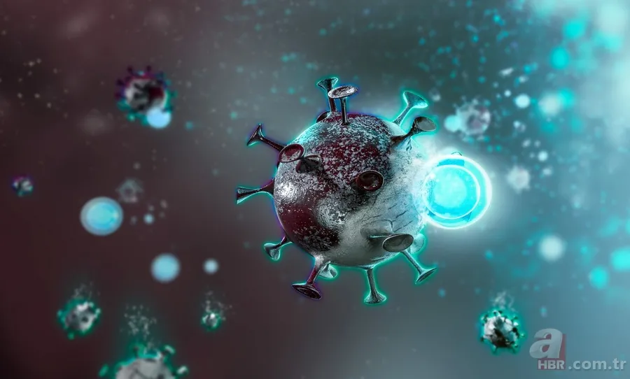 Dünyada sadece 2 yerde vardı: O ilimizde de bulundu! İlaç oalrak kullanılacak 4