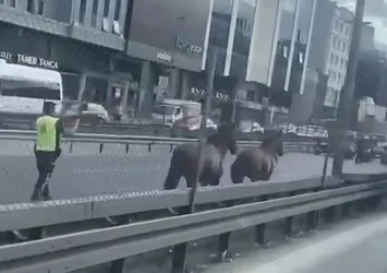 Avcılar’dan Bakırköy’e kadar koştular! İstanbul'da ilginç görüntü: Trafiği birbirine kattılar