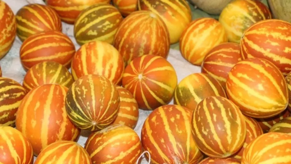 Domates patlıcan ve biber 10 lira! Mardin'de organik pazar bereketi