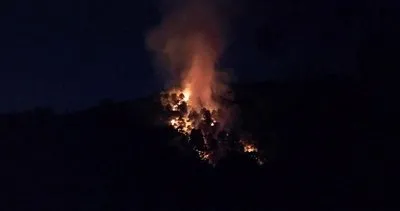 Son dakika: Kartal Aydos Ormanları'nda yangın!