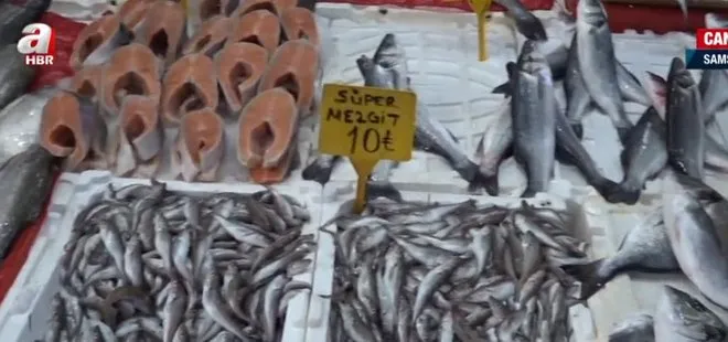 Tezgahlarda balık bereketi! Balık fiyatları ne durumda?