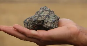 Mantar toplarken göktaşı buldu