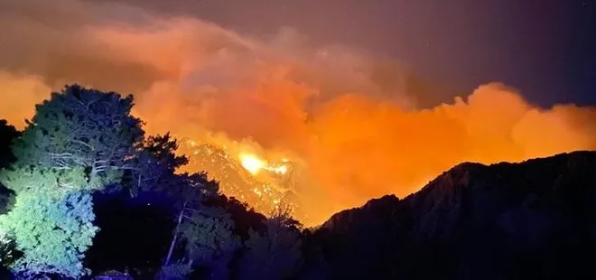 Adalet Bakanı Abdulhamit Gül’den İç Anadolu Akdeniz ve Ege’deki orman yangınlarına ilişkin flaş açıklama