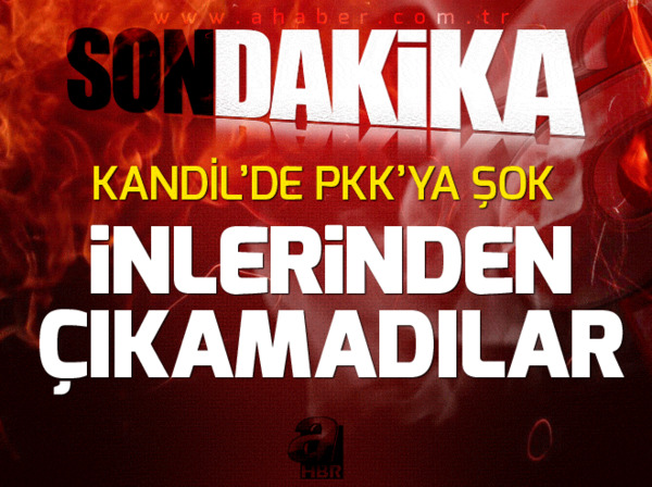 Diyarbakır'da büyük operasyon - 1