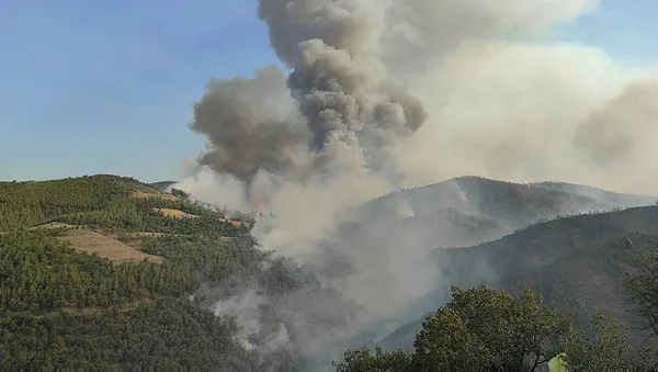 Aydın’da çıkan yangın Muğla’ya sıçradı: 3 mahalleye giden yol kapandı
