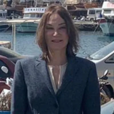 AK Parti Milletvekili Hulusi Şentürk’ten Aslı Baykal açıklaması: Bizim kapımız herkese açık