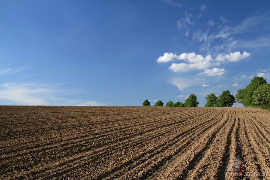 45.000 TL'ye Arsa Sahibi Olmak Mümkün! Onlarca İlde Vatandaşlar Sıraya Girdi 6