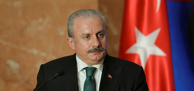 6 yaşındaki çocuğa cinsel istismar davasında iddianame kabul edildi! Türkiye'yi sarsan olaya sert tepki: En ahlaksız suç, takipçisi olacağız