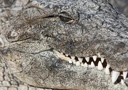 Taksi parası ödememek için öyle bir şey yaptı ki! İşte kasım ayının tuhaf olayları…