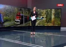 Bakan Dönmezden ihracat açıklaması