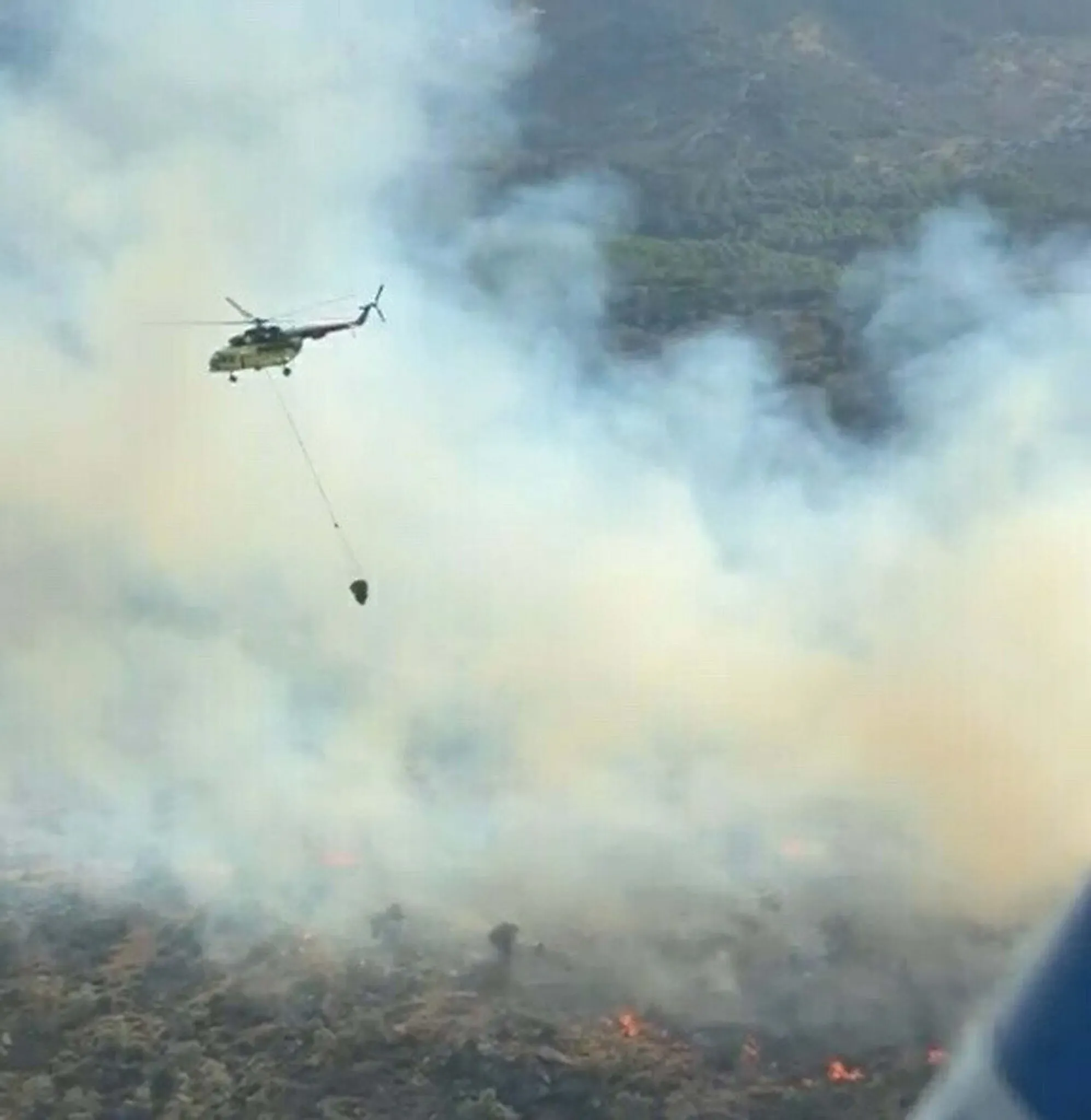 Aydın’da orman yangını! 6 uçak ve 5 helikopterle müdahale edildi, 2 saatte kontrol altına alındı