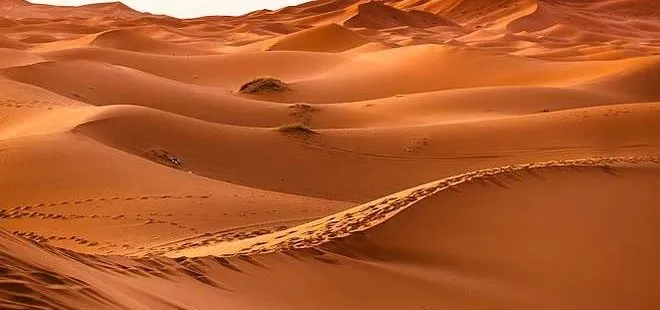 Suudi Arabistan’da 85 bin yıllık keşif
