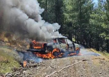 Hatay'da ormanlık alandaki kamyonette çıkan yangın söndürüldü