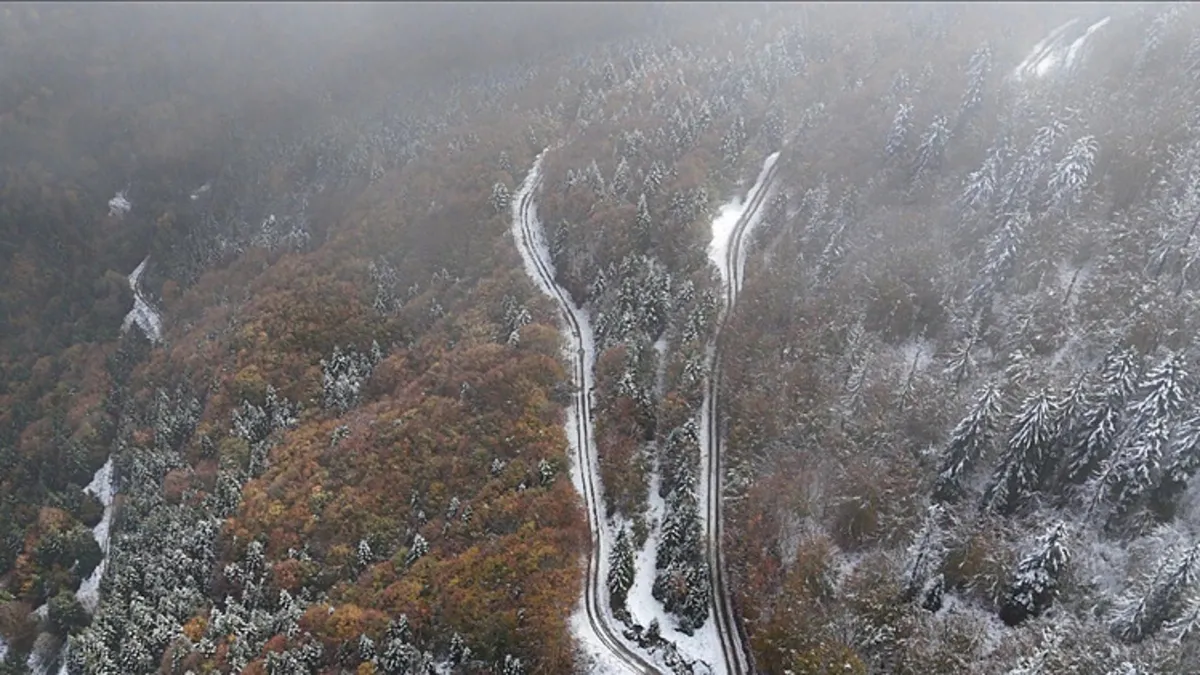 Artvin'de yoğun kar yağışı: 7 köy yolu ulaşıma kapandı