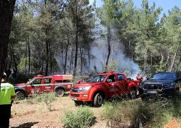 Orman Özel Harekat ekibi kuruldu! Bakan Kirişci rakamları paylaştı