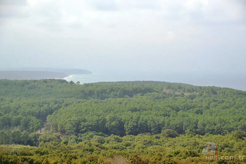 OGM personel alımı başvurusu nasıl yapılır? 3850 Orman Genel Müdürlüğü personel alımı başvuru şartları nelerdir? 4