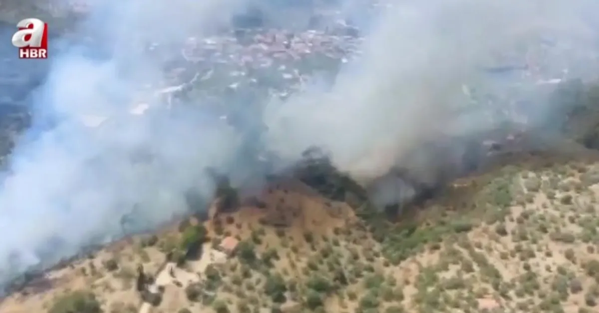 Aydın Germencik'te orman yangını