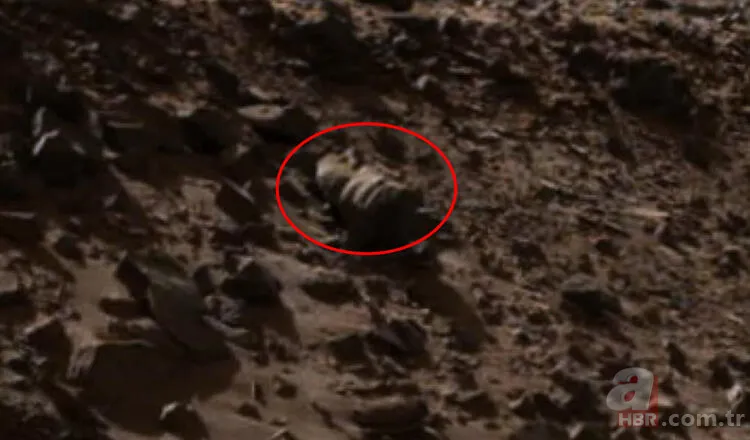 NASA aracının yakınında bulundu! Mars'ta dehşete düşüren keşif... 1