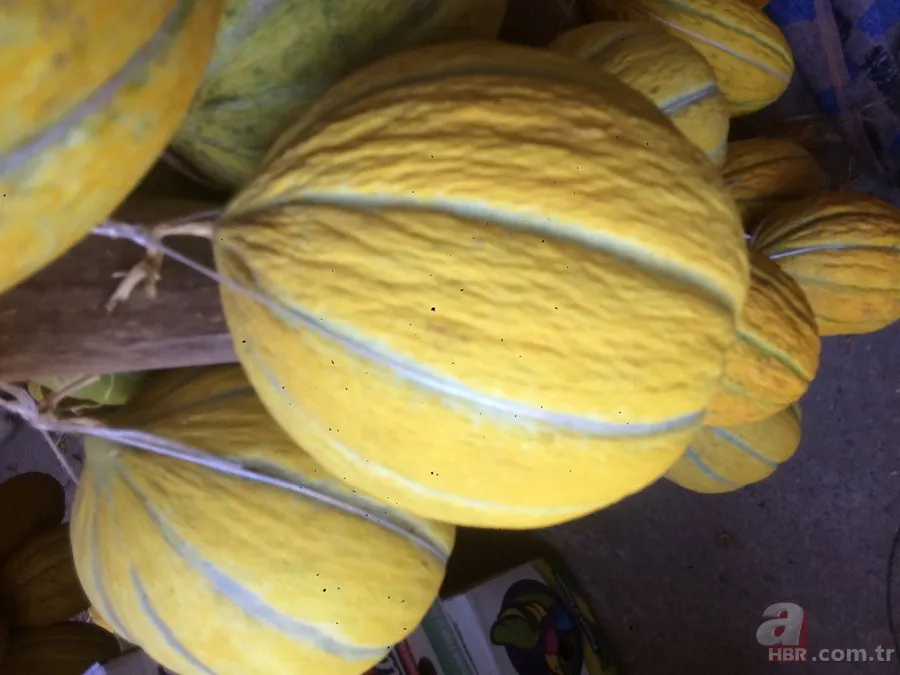 Et pişirirken kavun kabuklarından bir parça ilave edilirse... 7