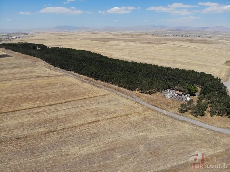 Bozkırın ortasında yemyeşil doğa! Hayran bırakan görüntüler 14