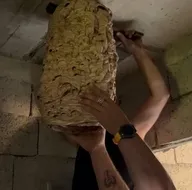 Uzun süredir kullanılmıyordu! Deponun içinde görenleri şaşkına çeviren manzara