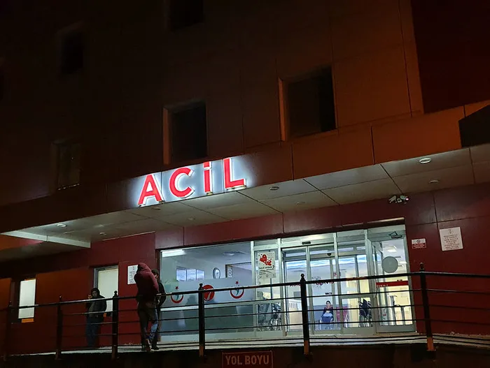 Osmaniye'de annesini öldüren kişi teslim oldu - 1