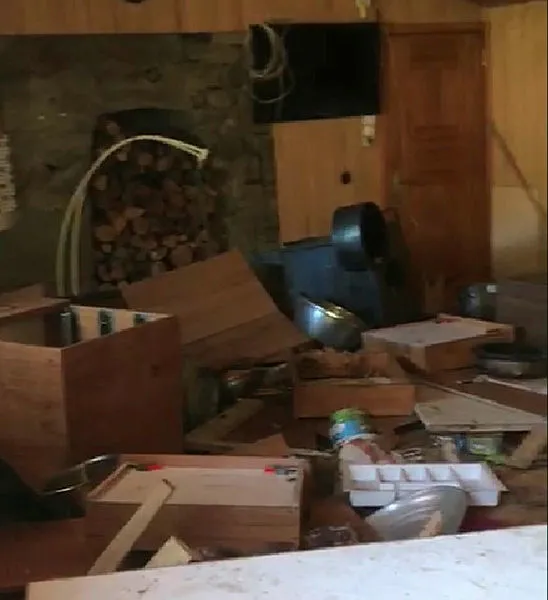 Rize’de aç kalan ayı evin altını üstüne getirdi - 1