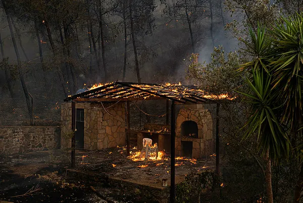 Tarım ve Orman Bakanı Bekir Pakdemirli ile İçişleri Bakanı Süleyman Soylu’dan yangınlara ilişkin son dakika açıklamaları
