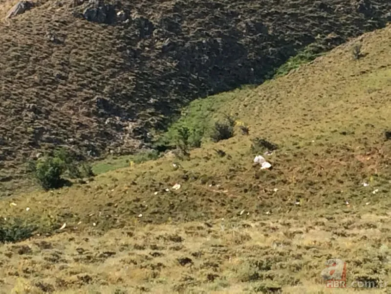 Van'da keşif uçağı düştü! Olay yerinden görüntüler... 17