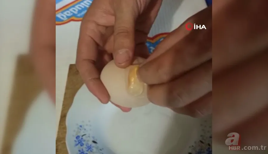 Kümese girdi başına talih kuşu kondu! Tavuğu servet yumurtladı 8