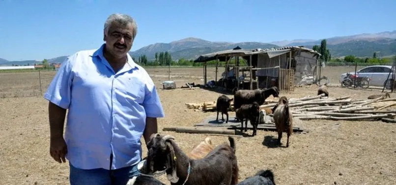 Futbolcu satıp keçi aldı!