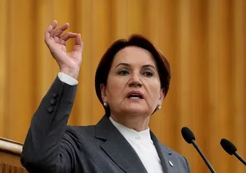 Meral Akşener'den kayınbirader hakkında suç duyurusu