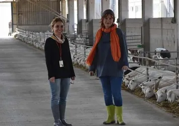 Cüppeyi çıkardı keçi sütü sağdı