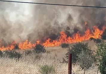 Batman’da orman yangını kontrol altına alındı