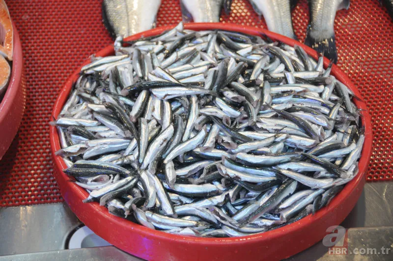 Uzmanlardan hamsi uyarısı! "1 yıl avlanmasın..." 10