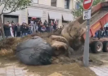 Fransa'da çiftçilerin direnişi sürüyor! Hükümet binalarının önüne gübre döküp ateşe verdiler